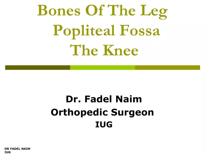 bones of the leg popliteal fossa the knee