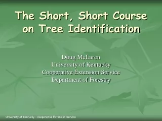 The Short, Short Course on Tree Identification