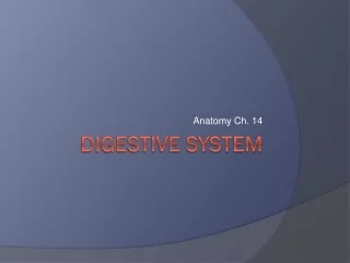 Digestive System