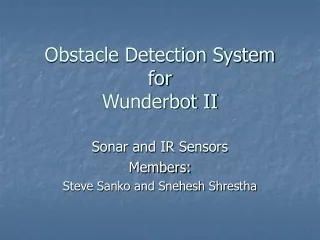 Obstacle Detection System for Wunderbot II