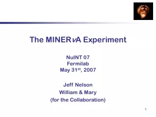 The MINER v A Experiment