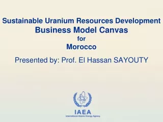 Sustainable Uranium Resources Development  Business Model Canvas  for  Morocco