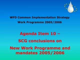 Agenda Item 10 – SCG conclusions on New Work Programme and mandates 2005/2006
