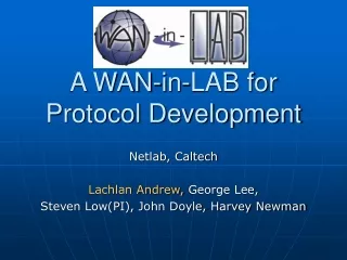A WAN-in-LAB for Protocol Development