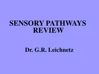 SENSORY PATHWAYS      		   REVIEW Dr. G.R. Leichnetz