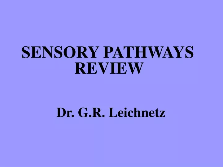 sensory pathways review dr g r leichnetz