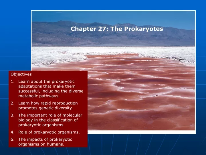 chapter 27 the prokaryotes