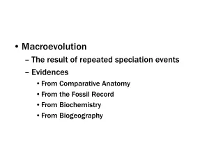 Macroevolution The result of repeated speciation events Evidences From Comparative Anatomy