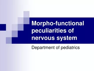 Morpho-functional peculiarities of  nervous system