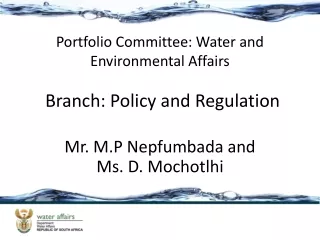 Branch: Policy and Regulation