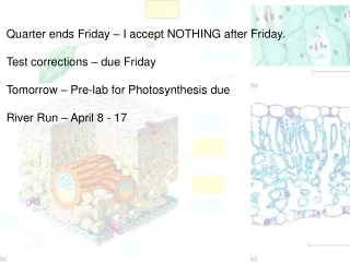 Quarter ends Friday – I accept NOTHING after Friday. Test corrections – due Friday