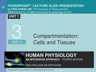 Compartmentation: Cells and Tissues