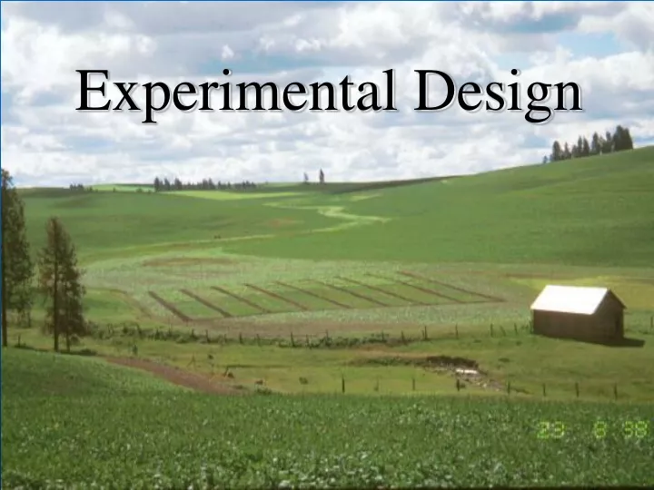 experimental design