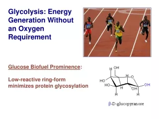 Glycolysis : Energy Generation Without an Oxygen Requirement