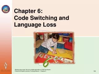 Chapter 6:  Code Switching and Language Loss