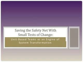 Saving the Safety Net With  Small Tests of Change: