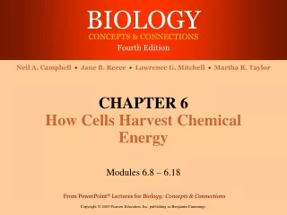 CHAPTER 6 How Cells Harvest Chemical Energy