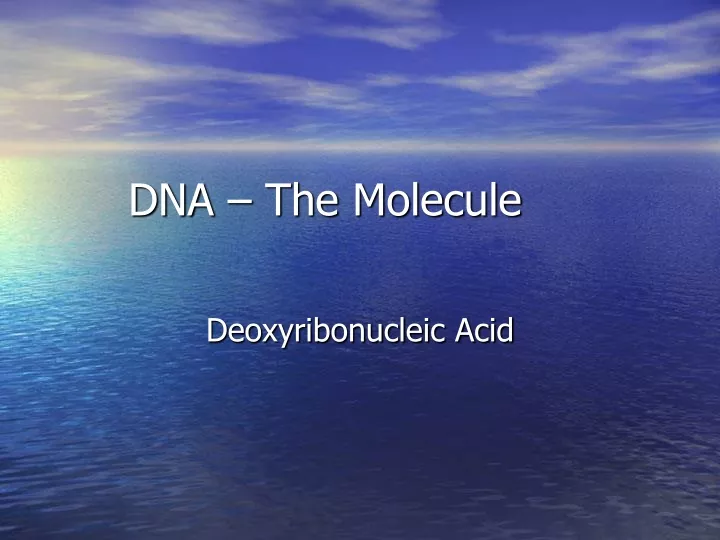 dna the molecule