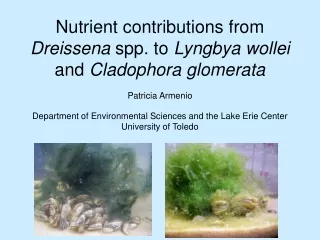Nutrient contributions from  Dreissena  spp. to  Lyngbya wollei  and  Cladophora glomerata