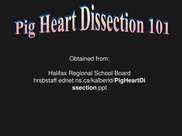 pig heart dissection 101