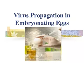 Virus Propagation in Embryonating Eggs