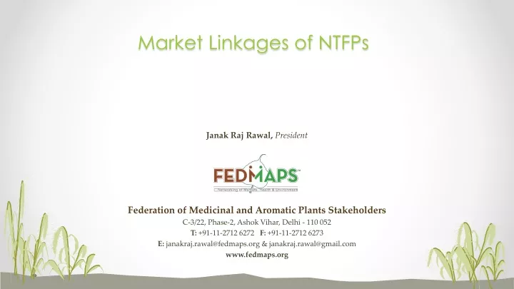 market linkages of ntfps