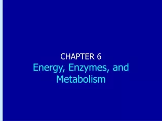 CHAPTER 6 Energy, Enzymes, and Metabolism