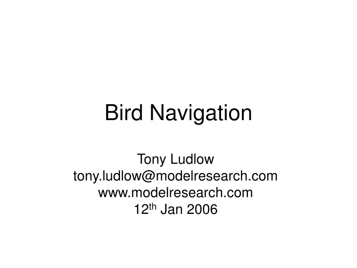 bird navigation