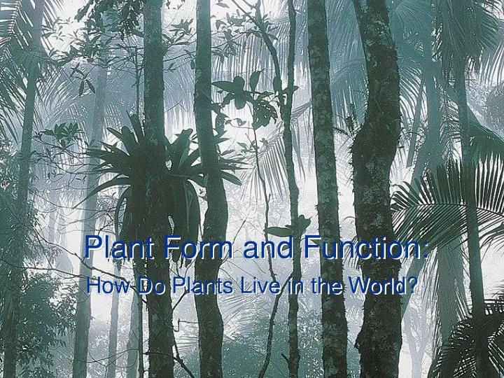 plant form and function