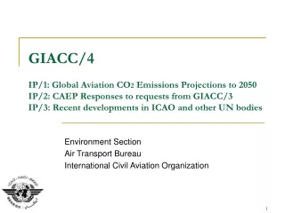 Environment Section Air Transport Bureau International Civil Aviation Organization