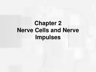 Chapter 2 Nerve Cells and Nerve Impulses