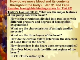 How do we move blood and its contents throughout the body?   Jan 31 and Feb2