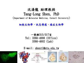沈湯龍 助理教授 Tang-Long Shen, PhD ( Department of Molecular Medicine, Cornell University )