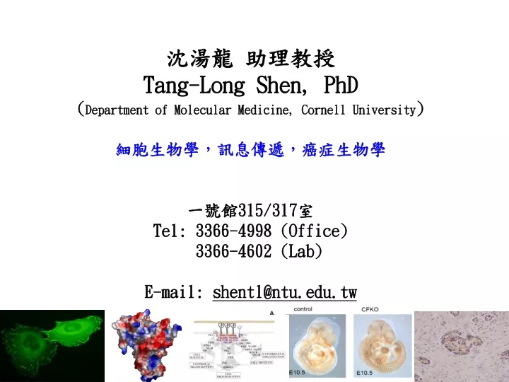 tang long shen phd department of molecular