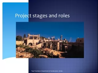 Project stages and roles