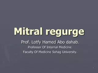 Mitral regurge