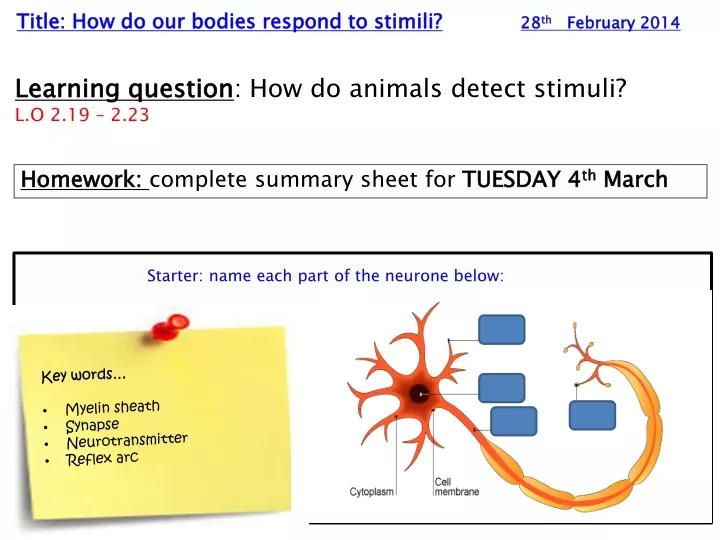 title how do our bodies respond to stimili