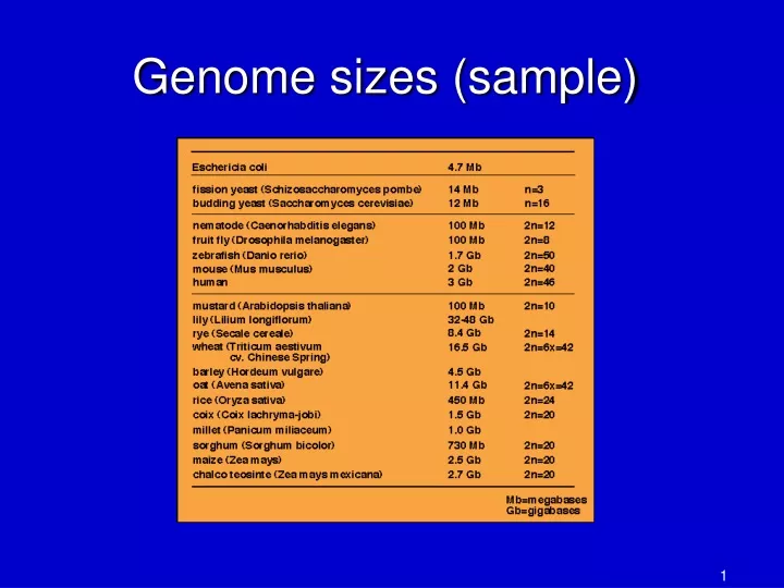 genome sizes sample