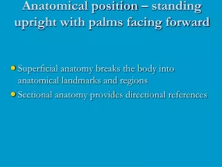 Anatomical position – standing upright with palms facing forward