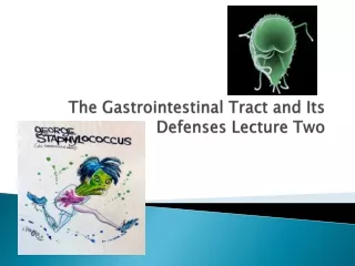 The Gastrointestinal Tract and Its Defenses Lecture Two