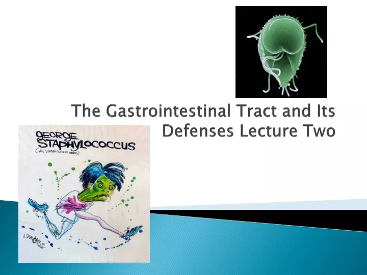 the gastrointestinal tract and its defenses lecture two