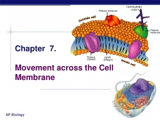 Chapter  7. Movement across the Cell Membrane