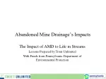 Abandoned Mine Drainage’s Impacts