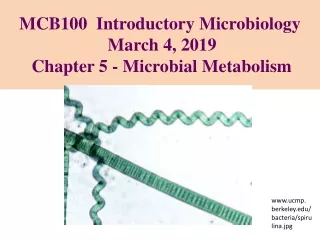 MCB100  Introductory Microbiology March 4, 2019 Chapter 5 - Microbial Metabolism