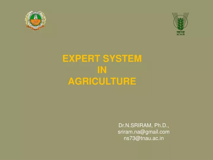 expert system in agriculture