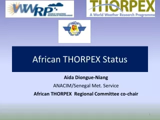 African THORPEX Status