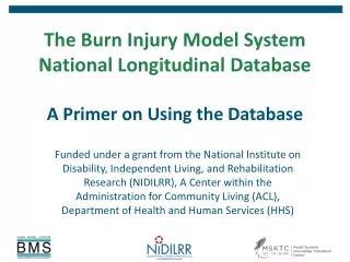 The Burn Injury Model System National Longitudinal Database A Primer on Using the Database