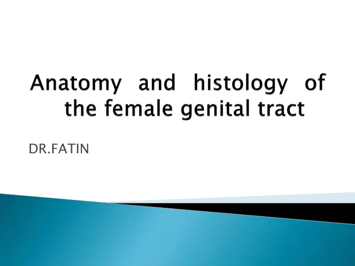anatomy and histology of the female genital tract