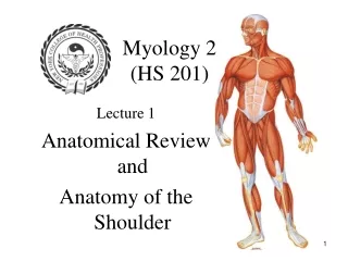 Myology 2  (HS 201)