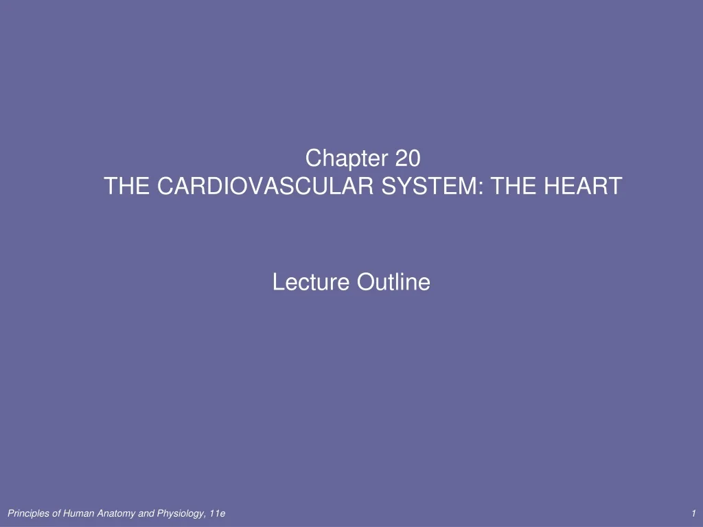 PPT - Anatomy of the Heart: Structure and Function Guide PowerPoint ...